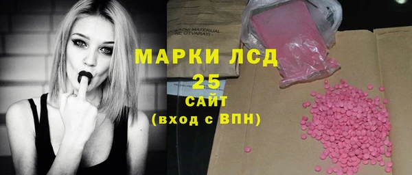 тгк Богородицк