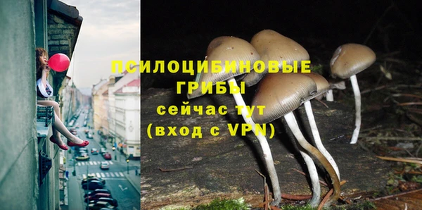 ешки Богородск