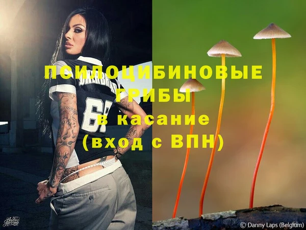 тгк Богородицк