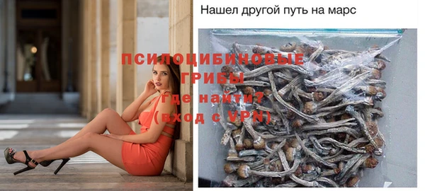 COCAINE Богданович