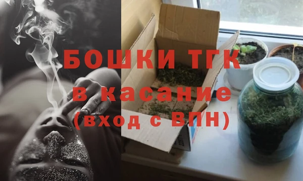 тгк Богородицк