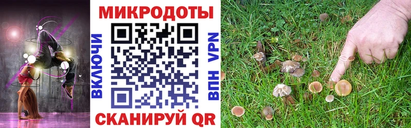 Галлюциногенные грибы прущие грибы  Красноярск 